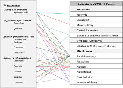 Potentials of Antitussive Traditional Persian Functional Foods for COVID-19 Therapy†